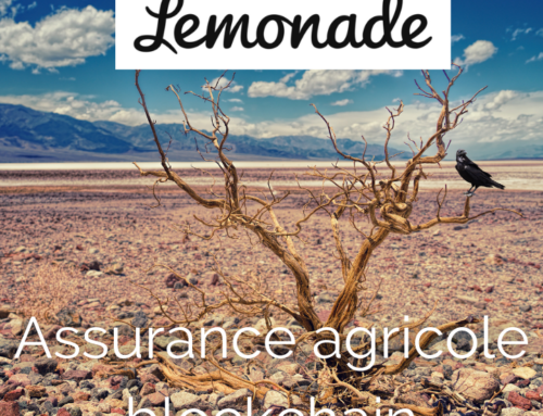 Exemple d’utilisation de la blokchain, l’assurance agricole de Lemonade