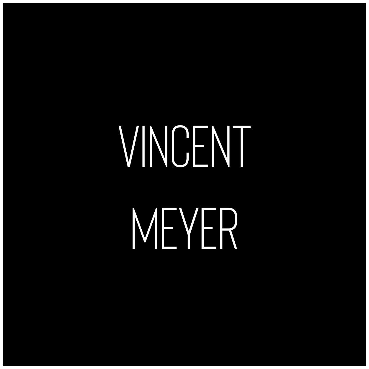 Vincent Meyer Logo